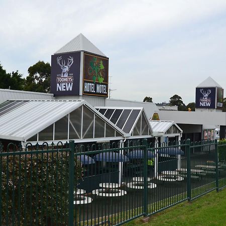 The Oaks Hotel Motel Albion Park المظهر الخارجي الصورة